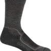 Icebreaker Hike+ Lite Crew - Men's|-|Chaussettes Hike+ Lite Crew - Homme