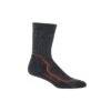 Icebreaker Hike+ Mid Crew - Men's|-|Chaussettes Hike+ Mid Crew - Homme