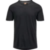 Icebreaker Oasis Short Sleeve Crewe - Men's|-|T-Shirt Oasis - Homme