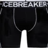 Icebreaker Anatomica Zone Boxers - Men's|-|Boxeur Anatomica Zone - Homme