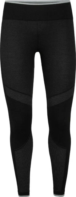 Icebreaker 200 Zone Seamless Leggings - Women's|-|Leggings Sans Coutures 200 Zone - Femme
