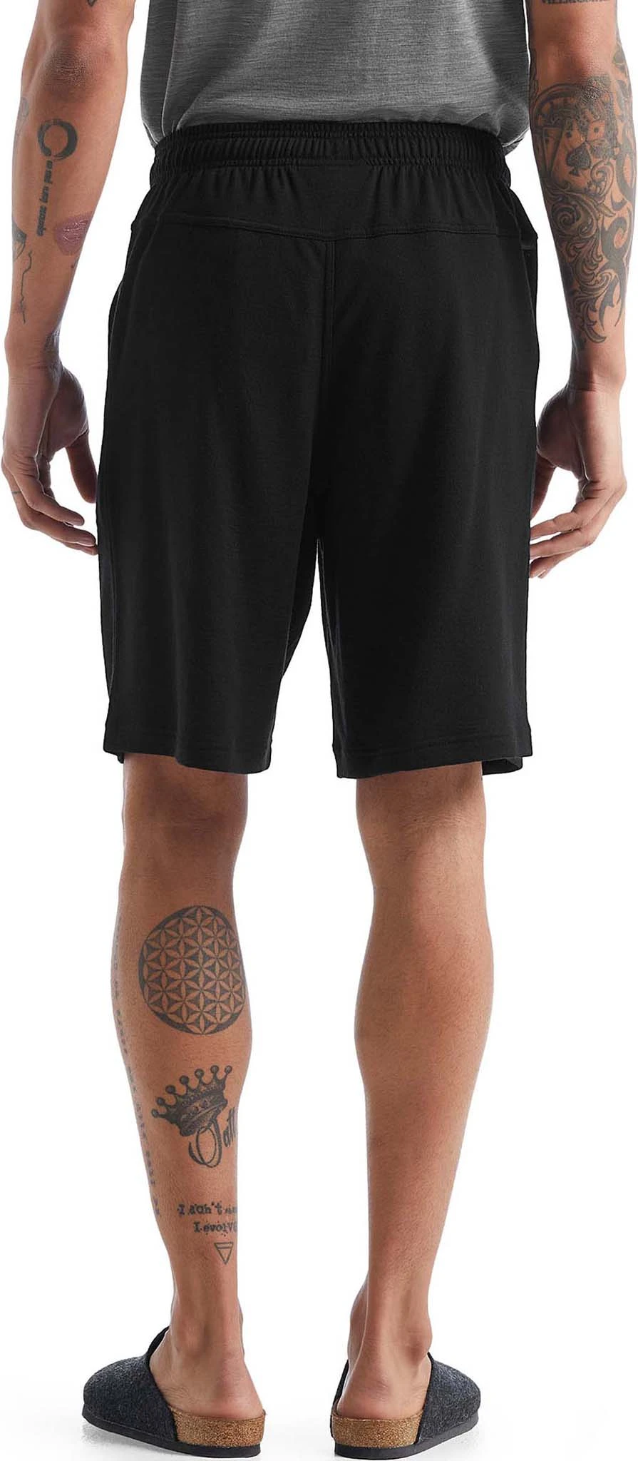 Icebreaker Shifter Shorts - Men's|-|Short Shifter - Homme - Image 11
