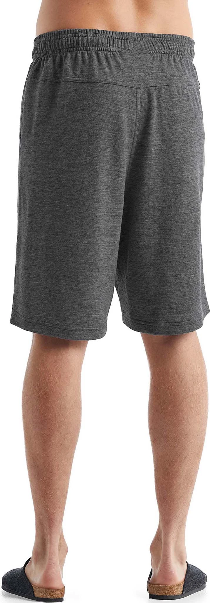 Icebreaker Shifter Shorts - Men's|-|Short Shifter - Homme - Image 3
