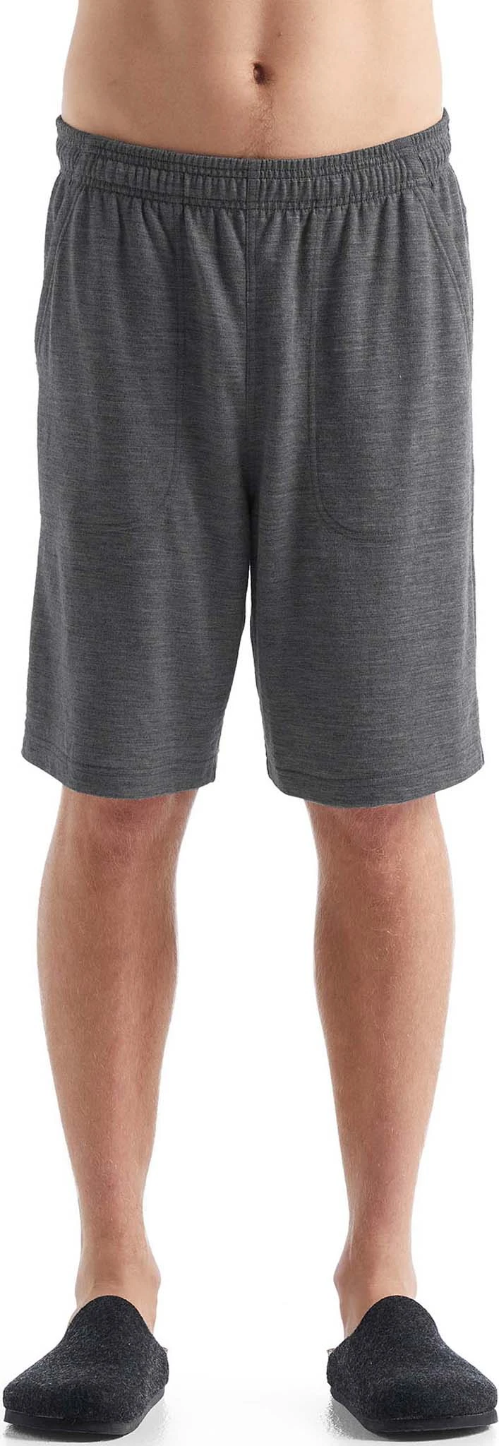 Icebreaker Shifter Shorts - Men's|-|Short Shifter - Homme - Image 6