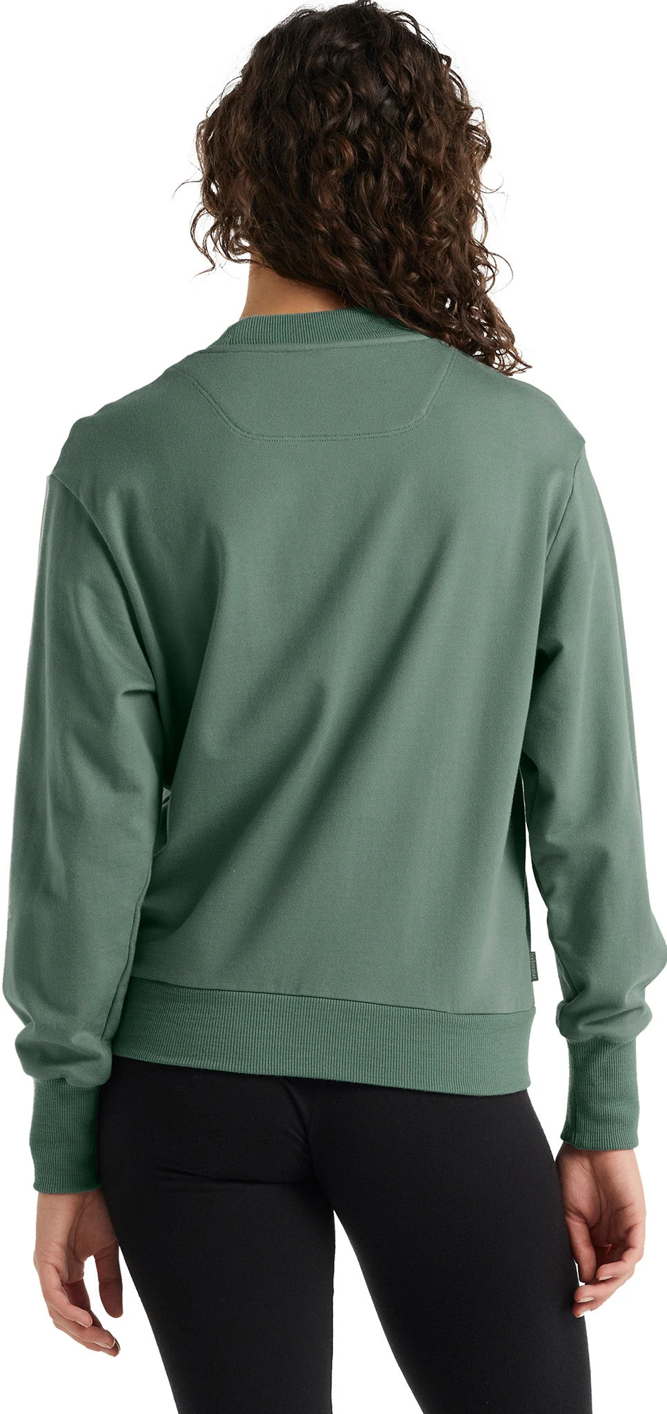 Icebreaker Central LS Sweatshirt - Women's|-|Chandail à Capuchon à Manches Longues Central - Femme - Image 8