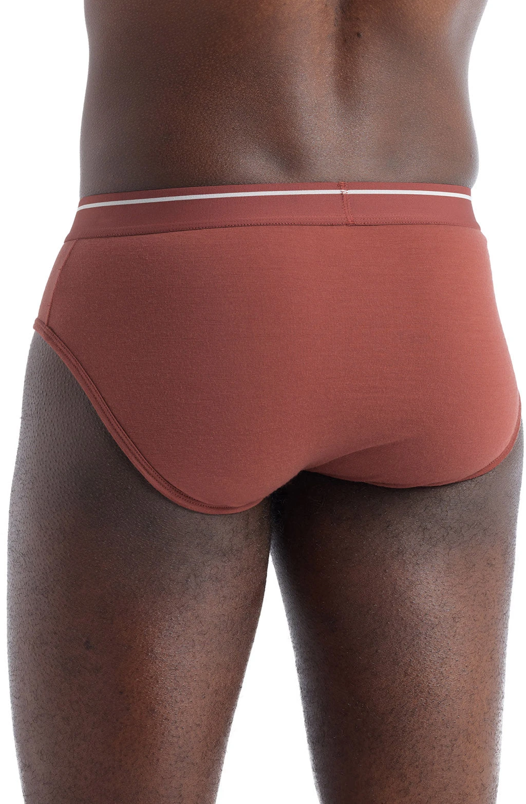 Icebreaker Anatomica Briefs - Men's|-|Caleçon Anatomica - Homme - Image 7