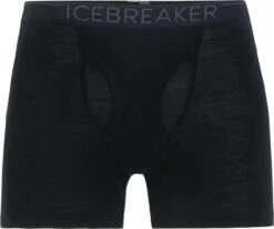 Icebreaker Men 175 Everyday Boxers Wfly