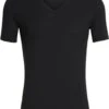 Icebreaker Men Anatomica Short Sleeve V